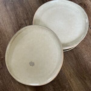 Elegant Cream Dinner Plate Set